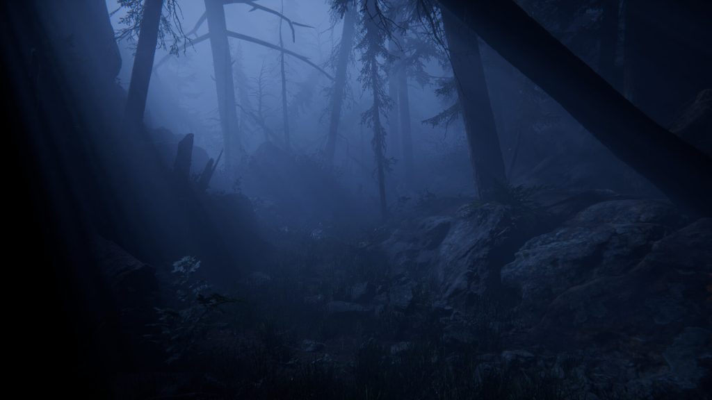 Together After Dark dark forest gameplay screenshot from the official Steam listing