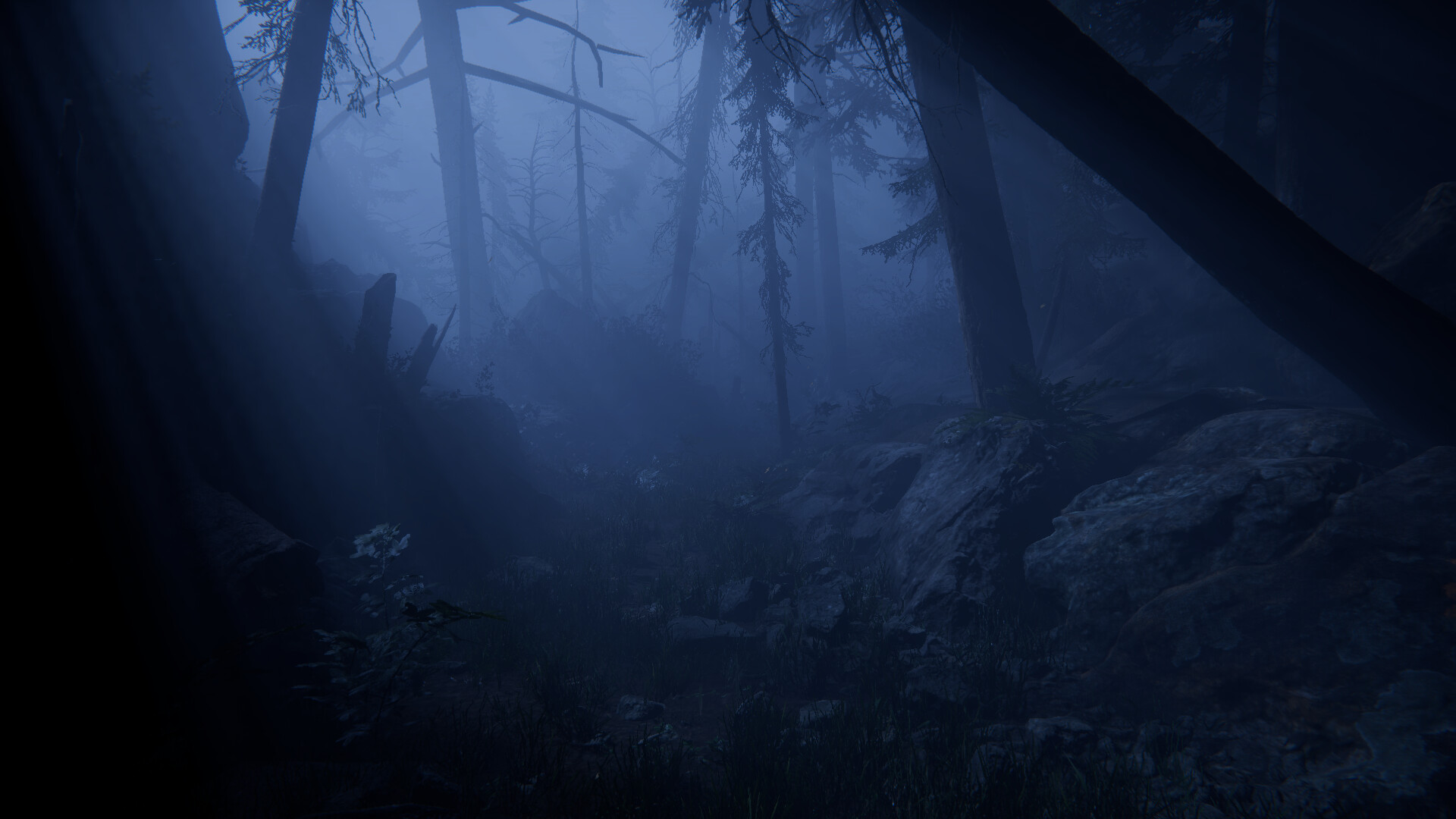 Together After Dark dark forest gameplay screenshot from the official Steam listing